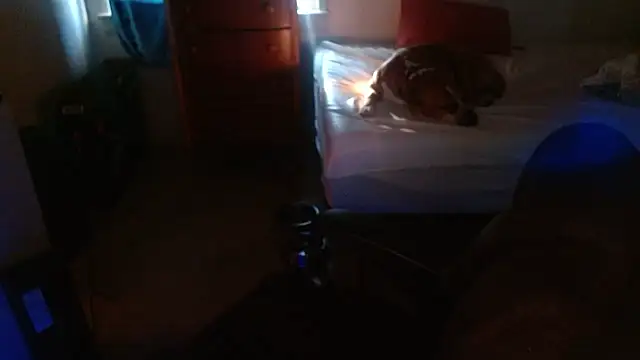 Snapshot of DADDY_KANE8--- chatting on January 17, 2026, 9:29 pm DADDY KANE8--- online show from January 17, 2026, 9:29 pm