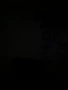 Magosupreme online show from February 26, 2026, 12:16 pm