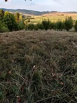 Snapshot of Nishu12356g chatting on September 8, 2025, 4:06 pm Nishu12356g online show from September 8, 2025, 4:06 pm