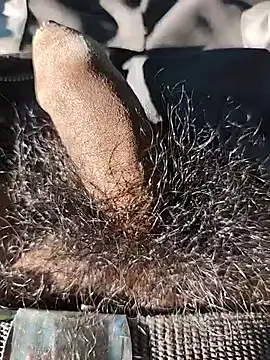 Snapshot of Nishu12356g chatting on September 20, 2025, 2:33 pm Nishu12356g online show from September 20, 2025, 2:33 pm