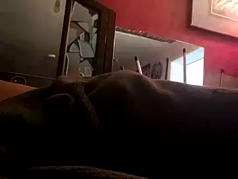 Snapshot of JRock69nKzoo chatting on November 12, 2025, 11:58 am JRock69nKzoo online show from November 12, 2025, 11:58 am