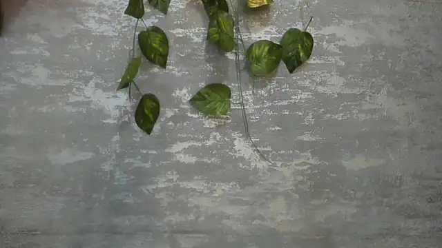 Snapshot of Mhelanny2 chatting on May 24, 2026, 6:41 pm Mhelanny2 online show from May 24, 2026, 6:41 pm