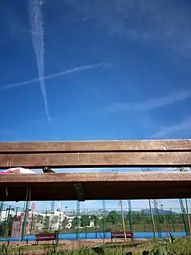 bellapaty online show from April 17, 2026, 8:50 am