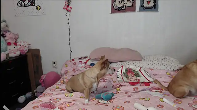 Cupcakecutie449 online show from March 26, 2026, 3:38 am