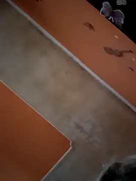 Snapshot of ducicsajsziii chatting on November 29, 2025, 2:17 pm ducicsajsziii online show from November 29, 2025, 2:17 pm