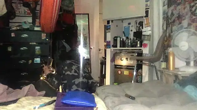 Snapshot of DownstairsSky chatting on October 25, 2025, 4:00 am DownstairsSky online show from October 25, 2025, 4:00 am