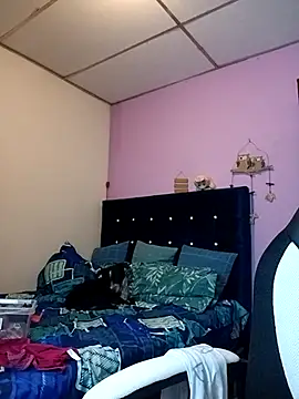 EllisW8 online show from February 1, 2026, 11:19 am