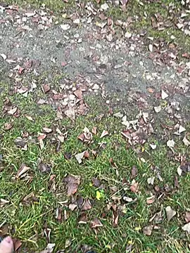 Aronn4 online show from November 12, 2025, 8:07 am