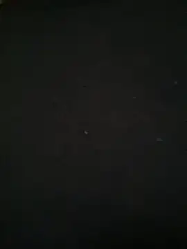 Snapshot of Ruby_bear chatting on March 8, 2025, 8:55 am Ruby bear online show from March 8, 2025, 8:55 am