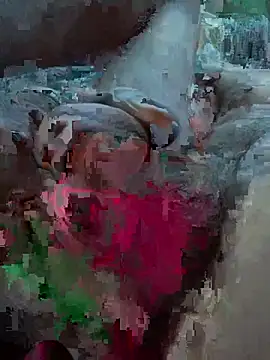 Snapshot of Followthepiper chatting on February 27, 2026, 12:11 am Followthepiper online show from February 27, 2026, 12:11 am