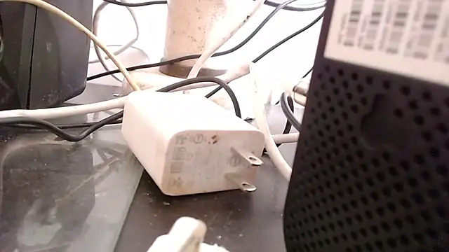 Snapshot of bardotbigcockts chatting on September 25, 2025, 8:04 pm bardotbigcockts online show from September 25, 2025, 8:04 pm