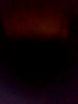 poloplayer123 online show from February 19, 2026, 5:21 pm