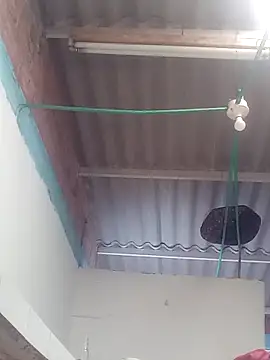 Snapshot of mailo_bronw chatting on March 30, 2026, 3:13 pm mailo bronw online show from March 30, 2026, 3:13 pm