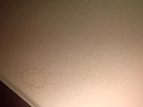 Snapshot of Treemandude chatting on November 10, 2025, 11:43 pm Treemandude online show from November 10, 2025, 11:43 pm