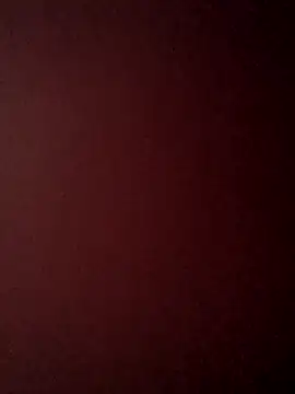 Snapshot of Treemandude chatting on October 25, 2025, 6:34 am Treemandude online show from October 25, 2025, 6:34 am