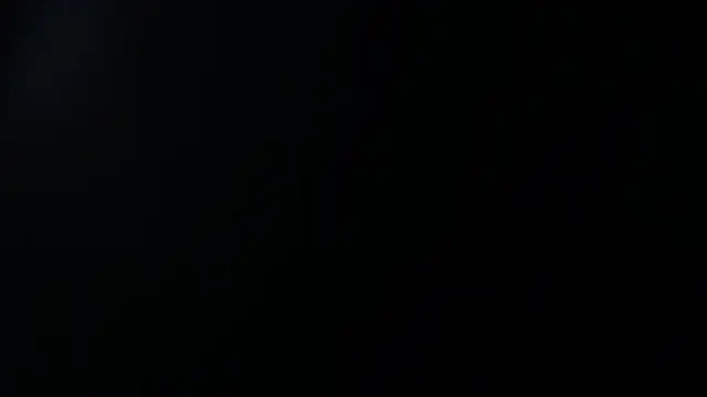 sara winehouse1 online show from January 4, 2025, 1:31 pm