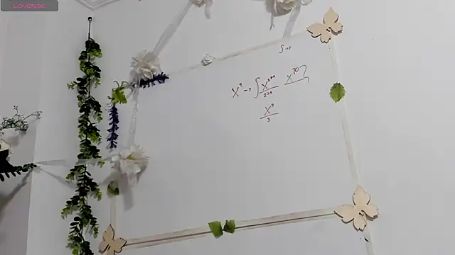 aysel elid online show from April 3, 2026, 1:56 am