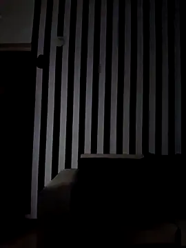 Snapshot of pretorianoo53 chatting on December 21, 2025, 4:25 am pretorianoo53 online show from December 21, 2025, 4:25 am