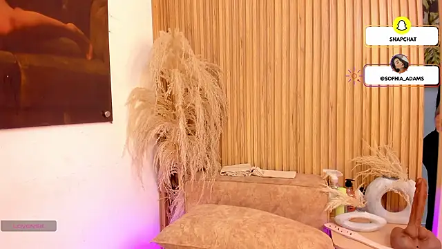 sofhiaa adaams online show from February 25, 2026, 10:31 pm