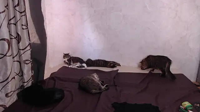 Olivia Winston online show from March 28, 2026, 1:45 pm