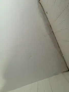 elninoblacko online show from February 8, 2026, 3:10 pm