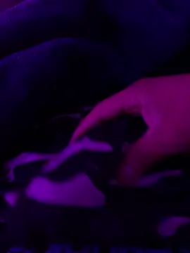 Snapshot of Ghotsniper666 chatting on October 14, 2025, 6:47 am Ghotsniper666 online show from October 14, 2025, 6:47 am