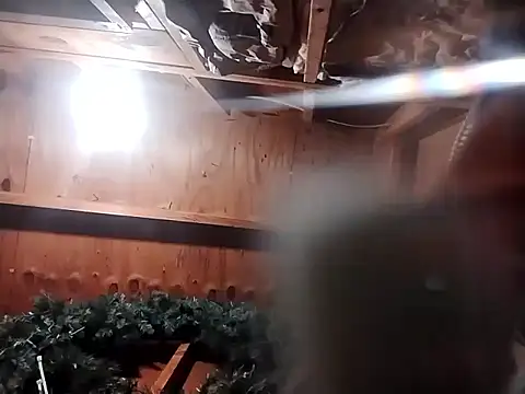 Snapshot of Babyboyy803 chatting on November 9, 2025, 9:24 am Babyboyy803 online show from November 9, 2025, 9:24 am