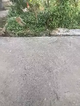 ind hero online show from October 31, 2025, 10:12 am