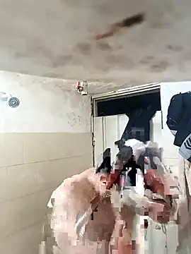 Snapshot of walwan85 chatting on November 12, 2025, 3:32 am walwan85 online show from November 12, 2025, 3:32 am