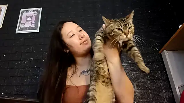 Snapshot of Japabaixinha chatting on November 18, 2025, 11:13 am Japabaixinha online show from November 18, 2025, 11:13 am