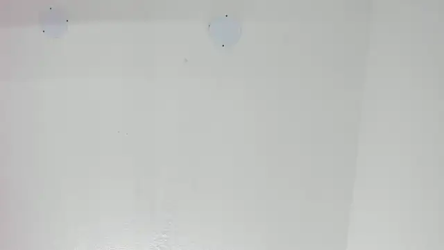 Snapshot of LoveQueen2 chatting on September 24, 2025, 11:50 am LoveQueen2 online show from September 24, 2025, 11:50 am