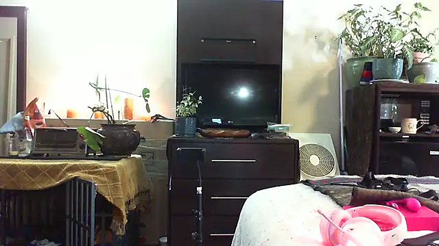 Snapshot of CeceilaMoon chatting on July 14, 2026, 4:24 pm CeceilaMoon online show from July 14, 2026, 4:24 pm