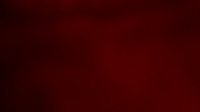 ray and 666 online show from November 21, 2025, 6:45 am