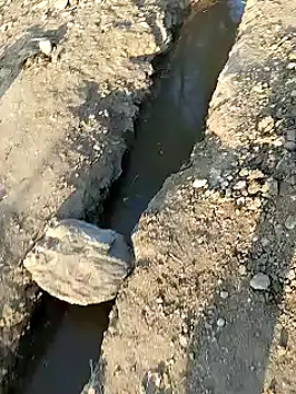 Monster Bigdick online show from January 9, 2025, 11:36 am