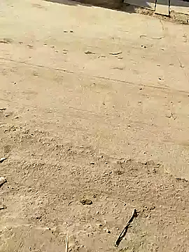 Monster Bigdick online show from December 8, 2024, 3:50 am