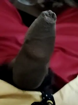 Ashish02345 online show from December 6, 2024, 6:44 pm