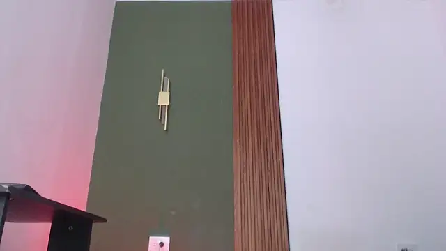 jean sneider online show from December 15, 2025, 8:47 pm