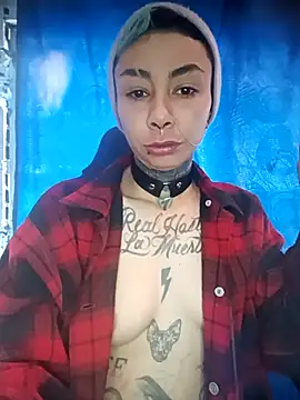 real fenix online show from December 14, 2025, 1:49 pm