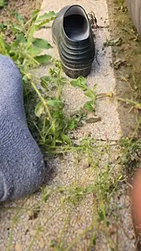 anald66666 online show from April 23, 2026, 12:29 pm