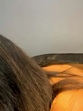 Amandious online show from April 16, 2026, 4:13 am