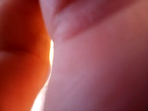 braza66 online show from April 4, 2026, 3:29 pm