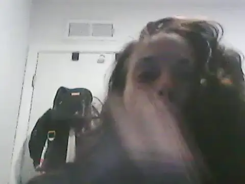 gorgeous11 online show from March 10, 2025, 1:54 pm