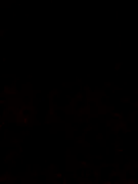 Adee21e online show from October 12, 2025, 6:53 pm