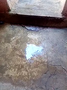 Snapshot of rau_4455 chatting on November 24, 2025, 9:31 am rau 4455 online show from November 24, 2025, 9:31 am