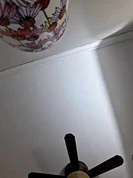 Snapshot of Zander823 chatting on February 3, 2026, 11:10 pm Zander823 online show from February 3, 2026, 11:10 pm