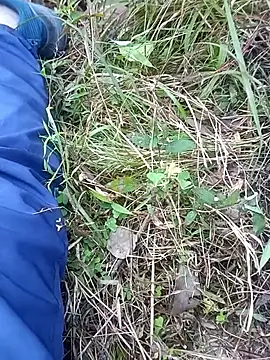 Nkumar173 online show from November 6, 2025, 6:17 am