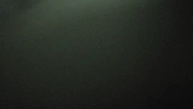 Armyexhibitionistvet online show from October 3, 2025, 11:39 pm