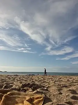 robertilevis online show from September 9, 2025, 4:49 pm