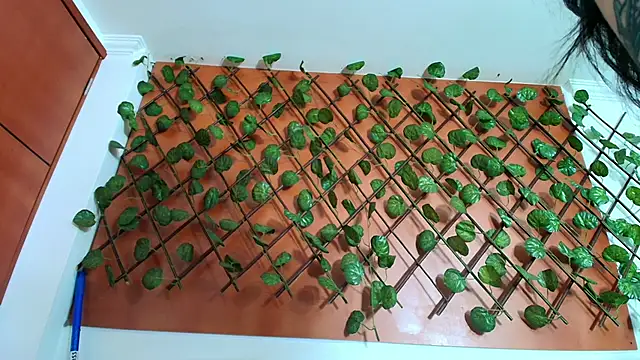 Naughty Kittenm online show from April 8, 2026, 11:22 am