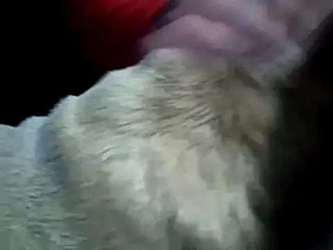 Snapshot of missthickness35_Pika chatting on January 13, 2025, 3:45 am missthickness35 Pika online show from January 13, 2025, 3:45 am